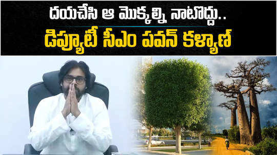 ap deputy cm pawan kalyan video message on vana mahostavam and conocarpus plants