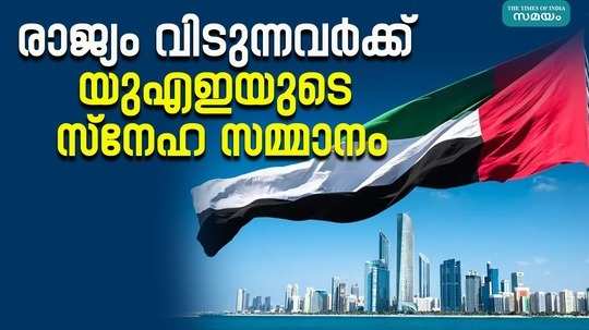 uae authority has announced a visa amnesty program offering discounted flight tickets to illegal residents who decide to leave the country