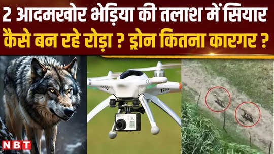 how are jackals creating obstacles in catching man eating wolves in bahraich