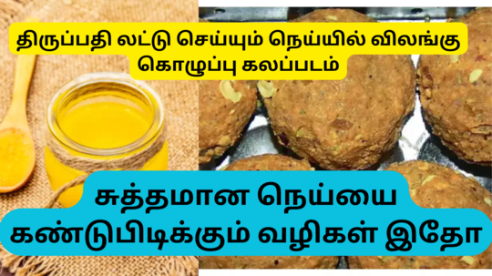 Tips To Check Ghee Purity :திருப்பதி லட்டு, பழநி பஞ்சாமிர்த நெய்யில் விலங்கு கொழுப்பா - சுத்தமான நெய்யை எப்படி கண்டுபிடிக்கலாம்