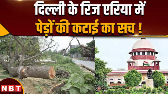 the matter of cutting of trees in the ridge area of delhi is in discussion again know the truth about cutting of trees