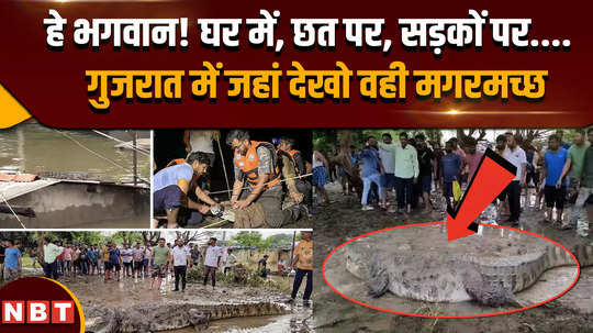 gujrat flood after the devastation of flood in gujarat now see the terror of crocodiles video