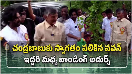 ap cm chandrababu and deputy cm pawan kalyan participated in vana mahostavam