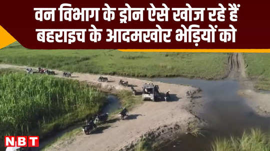 bahraich 2 wolves still on run search operation continues with help of drone up news video