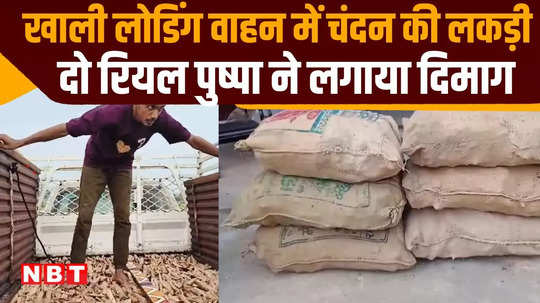 shajapur news 300 kg of sandalwood in empty vehicle karnatka two real pushpa arrested in mp shajapur police arrested pushpa with sandalwood sandalwood smuggling madhya pradesh news update real pushpa caught with sandalwood shajapur news update shajapur sandalwood smuggling basement in loading car 