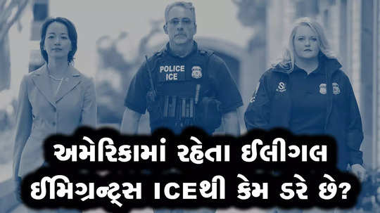 from detention to deportation what kind of powers ice has