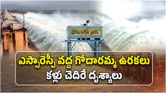 heavy water flow to sri ram sagar project in nizamabad flood released by lifting 40 srsp gates