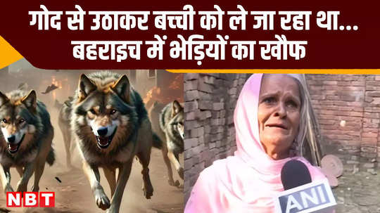 bahraich people of pandohiya village wolf attacked 5 year old up news video