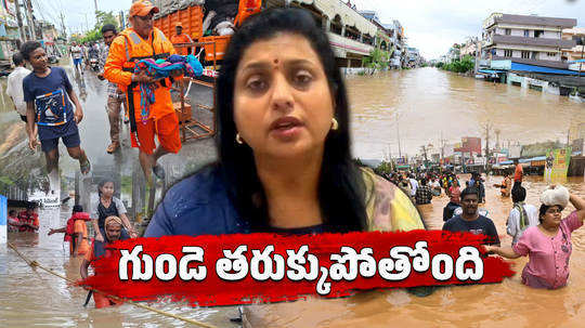 ap former minister rk roja over vijayawada floods asks where is pawan kalyan and ap ministers