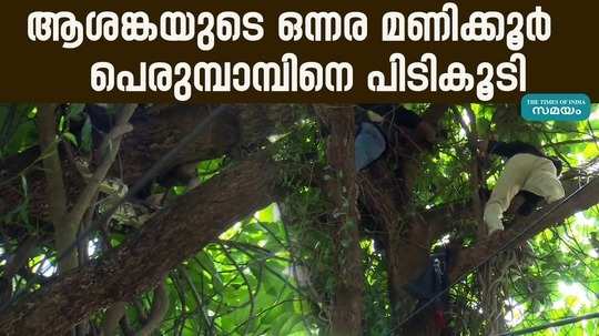 a python was caught climbing a huge tree in kannur