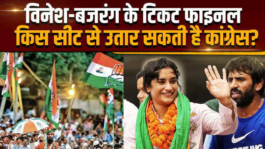 haryana election know from which seat congress can make vinesh bajrang its candidate in haryana