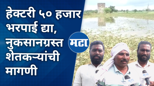 nanded damaged farmers comment on heavy rain loss