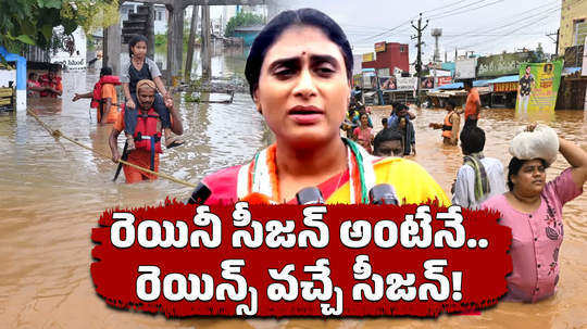 andhra pradesh congress chief ys sharmila visits prakasam barrage in vijayawada and comments on ys jagan