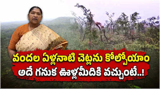 telangana tornado uproots 70 thousand trees in mulugu forest watch drone visuals