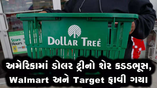 dollar tree share crash