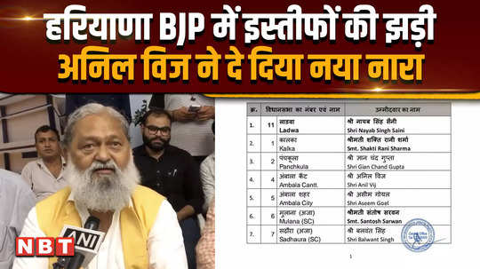 haryana elections 2024 anil vij gets ticket from ambala cantt know what he said on bjps list