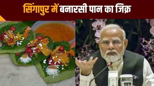 pm modi mention banarasi paan during the business meet in singapore