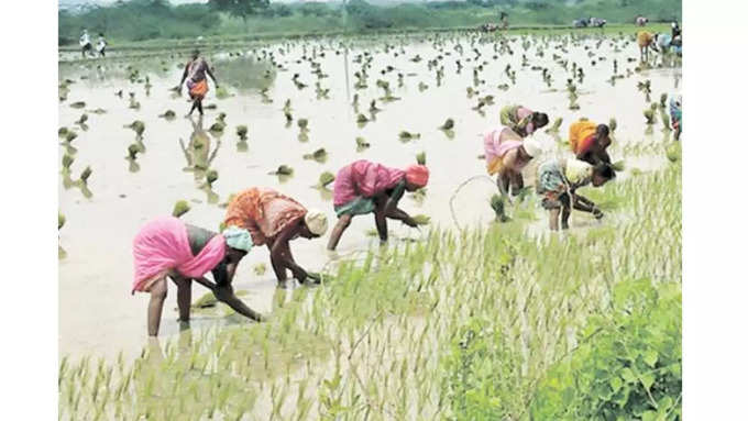 தாட்கோ மாவட்ட மேலாளர்