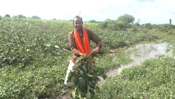 Nanded Rain: जनमलेल्या मुलासारखं पिकांना जपलं, आता मी काय करु, नुकसानग्रस्त शेतकऱ्याचा उद्विग्न प्रश्न