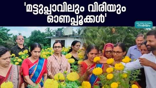 farmers of kannur planted flowers on the terrace