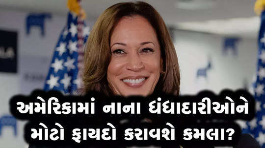 kamala harris campaign business class