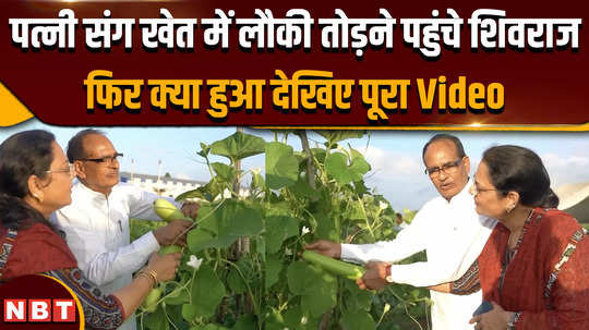 viral video agriculture minister shivraj singh chauhan was seen plucking gourd with his wife watch the video 