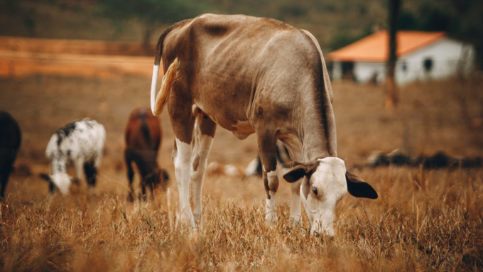 ​ಹಣವನ್ನು ಪಡೆದುಕೊಳ್ಳಲು ಹೀಗೆ ಮಾಡಿ​