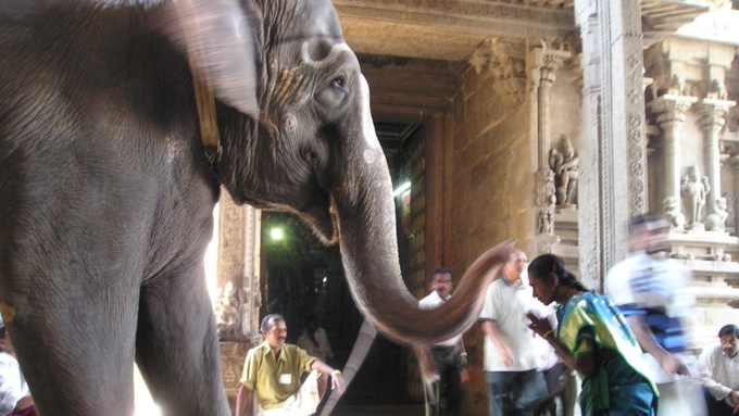 ​ಪ್ರತಿಯೊಂದು ಸಮಸ್ಯೆಗಳಿಂದ ಮುಕ್ತಿ ಪಡೆಯಲು​