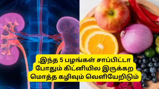 கிட்னியில இருக்கற மொத்த கழிவும் வெளியேற்றி டீடாக்ஸ் செய்யும் 5 பழங்கள் - தினம் ஒன்னு சாப்பிடுங்க - Kidney Detox Fruits