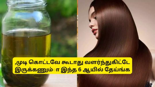 Best 6 Hair Oils For Hair Growth : முடி கொட்டவே கூடாது ஆனா வளர்ந்துகிட்டே இருக்கணும்னு நினைச்சா இந்த 6 ஆயில்ல ஒன்னு யூஸ் பண்ணுங்க