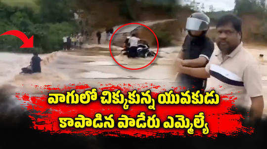 ysrcp paderu mla visweswara raju saves biker stranded in the floodwater