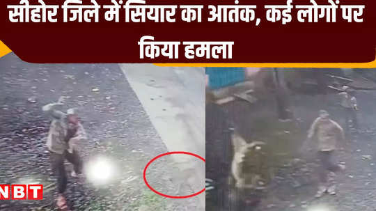 sehore news jackal attacked people sitting on the roadside incident captured on cctv