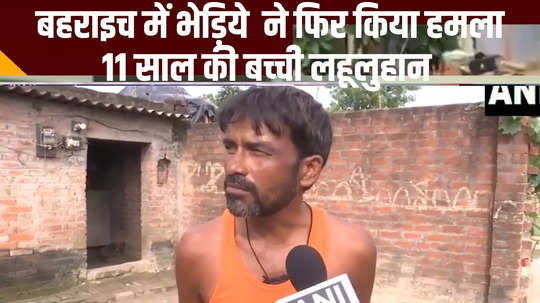 bahraich news man eating wolf attack 11 year old girl injured watch video