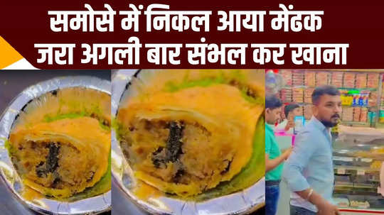 frog leg found in samosa customer creates ruckus in ghaziabad famous restaurant watch video