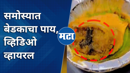 frog leg in samosa at ghaziabad video viral