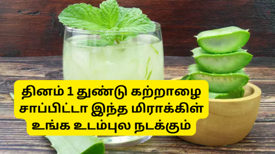 Aloevera Gel On Empty Stomach : தினம் ஒரு துண்டு கற்றாழையை வெறும் வயித்துல சாப்பிட்டு வந்தா உங்க உடம்புல இந்த மிராக்கிள் நடக்கும்