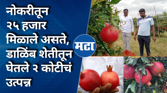 ahmednagar young farmer akshay karale pomegranate farming success story