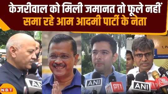 nobody can do any harm aap leaders rejoice after arvind kejriwal gets bail