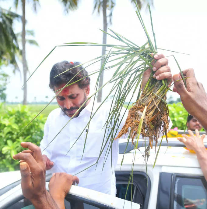 పవన్ అడ్డాలో జగన్.. అవ్వా, తాతలకు భరోసా ఇస్తూ..