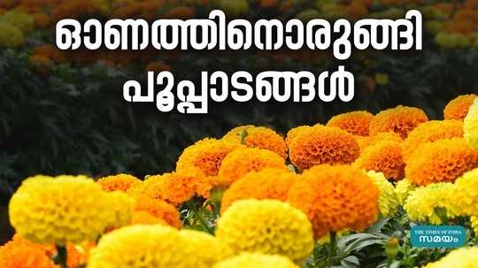 about flower fields in tamilnadu getting ready for onam