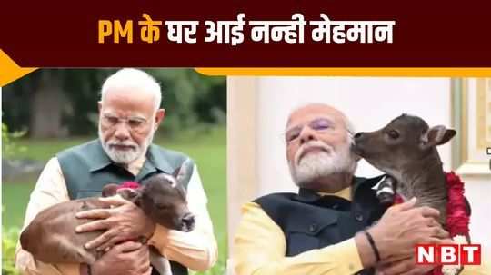 pm modi with calf deepjyoti video of pm residence