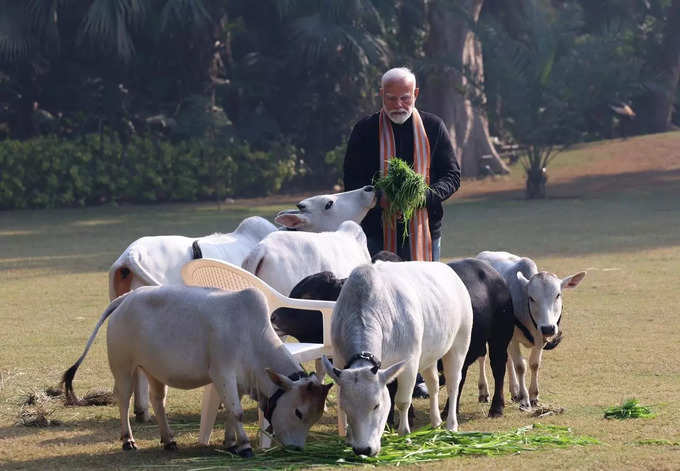 ప్రధాని మోదీ ఇంటికి కొత్త సభ్యురాలు.. దీప్‌జ్యోతితో ఆప్యాయంగా!