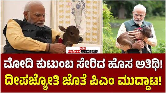 watch pm narendra modi welcomes birth of calf deepjyoti at residence with prayers