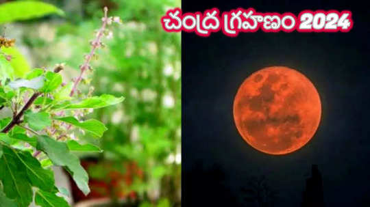 Lunar Eclipse 2024: చంద్ర గ్రహణం వేళ చేయాల్సిన, చేయకూడని పనులేంటో తెలుసుకోండి...