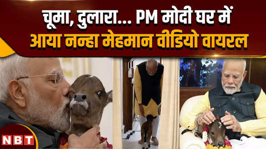 pm modi viral video little guest came to pm modis house video of him caressing went viral