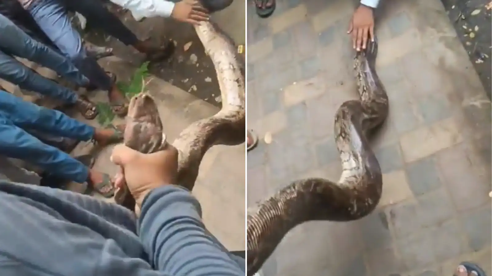 navbharat-times-113384065.jpg?width=1600&height=900&resizemode=75