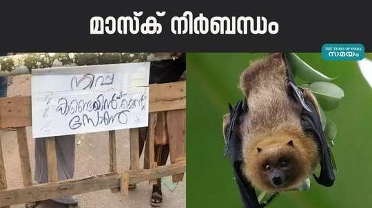 nipah virus mask made mandatory in malappuram district