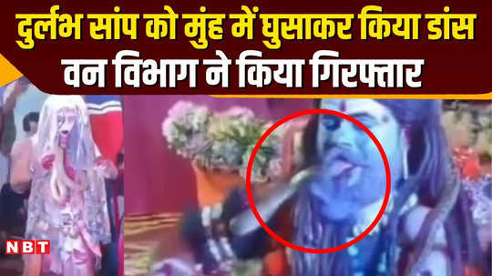 shivpuri news 8 accused arrested for playing with snakes during festival watch video