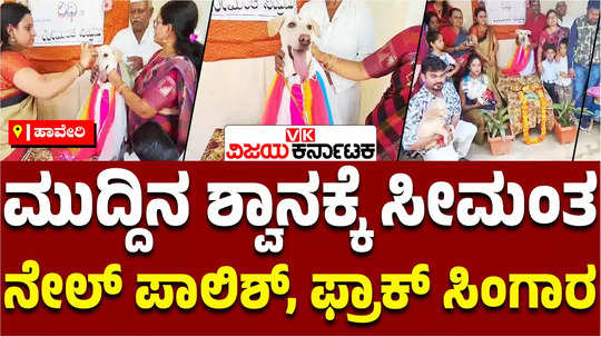 special seemantham ritual for pregnant pet dog in haveri hanagal family invites guests aarathi by ladies