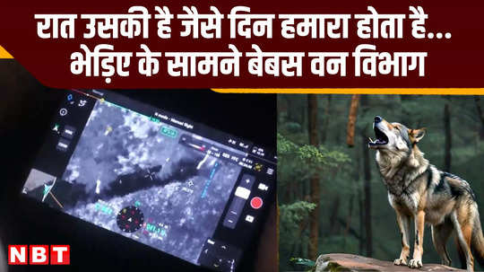 bahraich wolf escaped in darkness up wolf attack news video